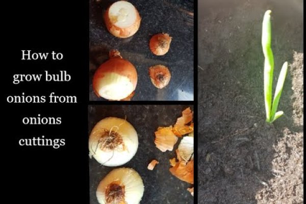 Кракен маркетплейс нарко